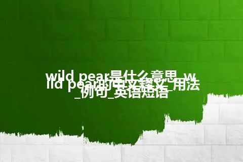 wild pear是什么意思_wild pear的中文释义_用法_例句_英语短语