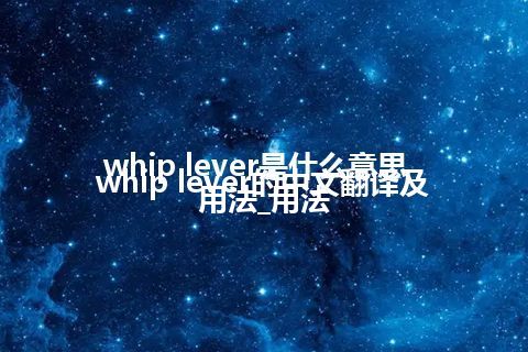 whip lever是什么意思_whip lever的中文翻译及用法_用法
