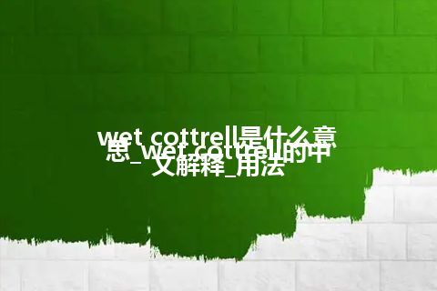wet cottrell是什么意思_wet cottrell的中文解释_用法