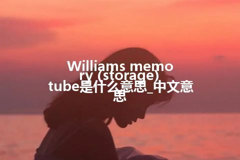 Williams memory (storage) tube是什么意思_中文意思