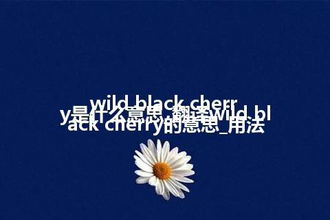 wild black cherry是什么意思_翻译wild black cherry的意思_用法