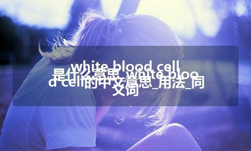 white blood cell是什么意思_white blood cell的中文意思_用法_同义词