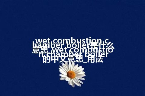 wet combustion chamber boiler是什么意思_wet combustion chamber boiler的中文意思_用法