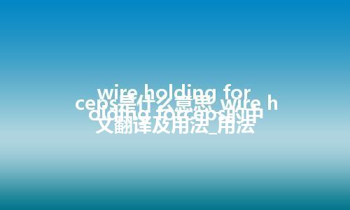 wire holding forceps是什么意思_wire holding forceps的中文翻译及用法_用法