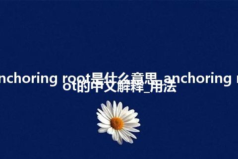 anchoring root是什么意思_anchoring root的中文解释_用法