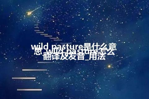 wild pasture是什么意思_wild pasture怎么翻译及发音_用法