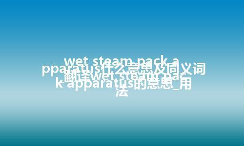 wet steam pack apparatus什么意思及同义词_翻译wet steam pack apparatus的意思_用法