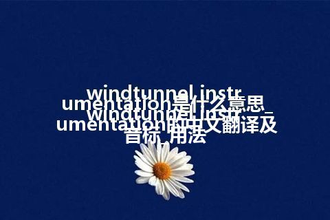windtunnel instrumentation是什么意思_windtunnel instrumentation的中文翻译及音标_用法