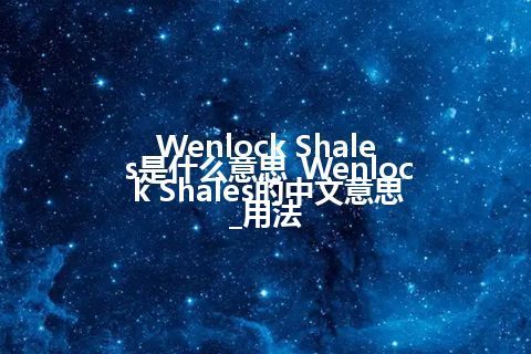 Wenlock Shales是什么意思_Wenlock Shales的中文意思_用法