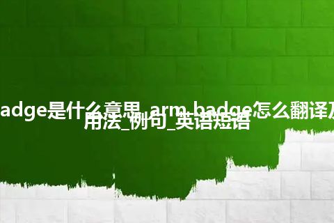 arm badge是什么意思_arm badge怎么翻译及发音_用法_例句_英语短语