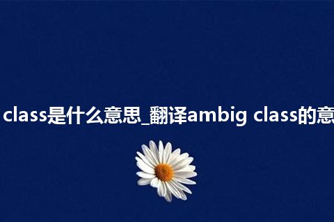 ambig class是什么意思_翻译ambig class的意思_用法