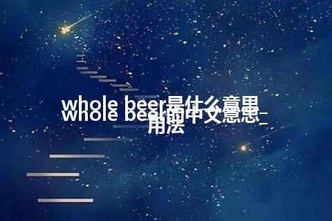 whole beer是什么意思_whole beer的中文意思_用法