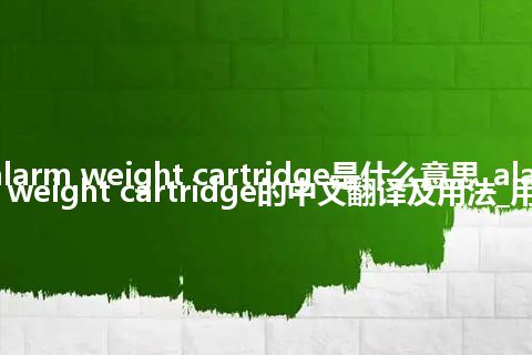 alarm weight cartridge是什么意思_alarm weight cartridge的中文翻译及用法_用法