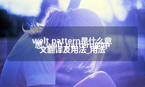 welt pattern是什么意思_welt pattern的中文翻译及用法_用法