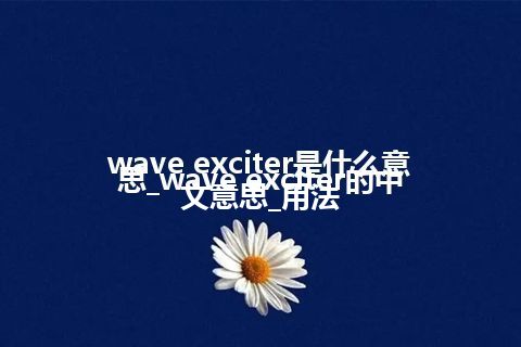 wave exciter是什么意思_wave exciter的中文意思_用法