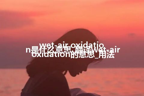 wet-air oxidation是什么意思_翻译wet-air oxidation的意思_用法