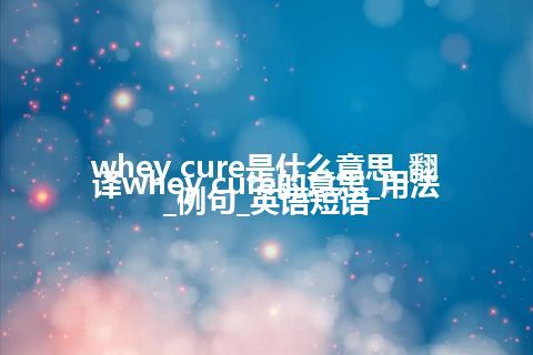 whey cure是什么意思_翻译whey cure的意思_用法_例句_英语短语