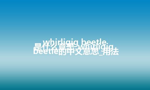 whirligig beetle是什么意思_whirligig beetle的中文意思_用法