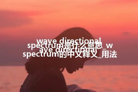 wave directional spectrum是什么意思_wave directional spectrum的中文释义_用法