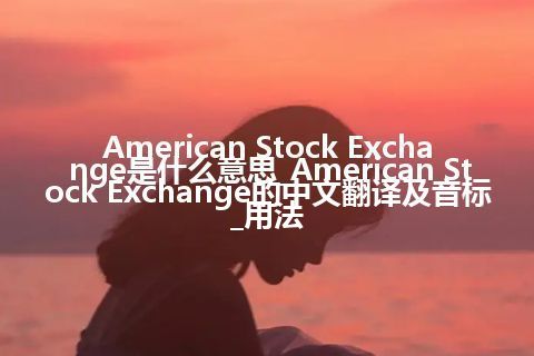 American Stock Exchange是什么意思_American Stock Exchange的中文翻译及音标_用法
