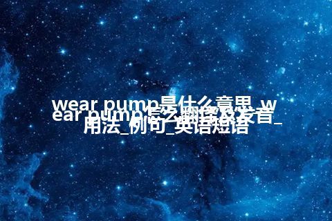 wear pump是什么意思_wear pump怎么翻译及发音_用法_例句_英语短语
