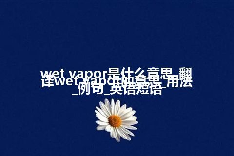 wet vapor是什么意思_翻译wet vapor的意思_用法_例句_英语短语