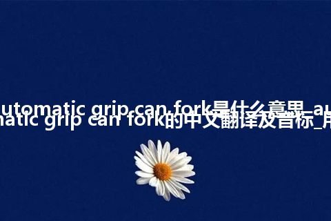 automatic grip can fork是什么意思_automatic grip can fork的中文翻译及音标_用法