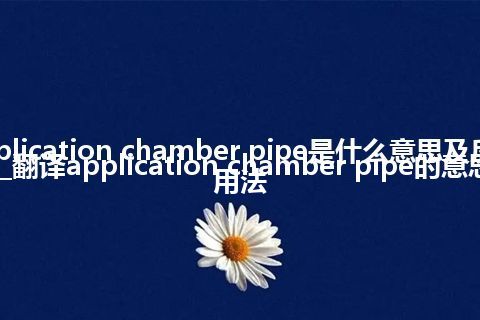 application chamber pipe是什么意思及反义词_翻译application chamber pipe的意思_用法