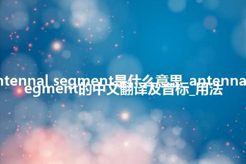 antennal segment是什么意思_antennal segment的中文翻译及音标_用法