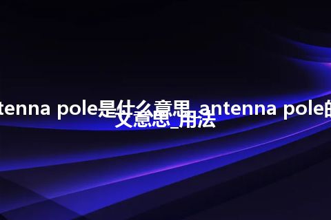 antenna pole是什么意思_antenna pole的中文意思_用法