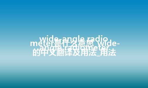 wide-angle radiometer是什么意思_wide-angle radiometer的中文翻译及用法_用法