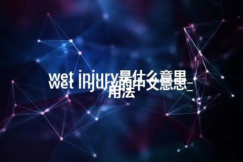 wet injury是什么意思_wet injury的中文意思_用法
