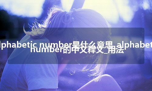 alphabetic number是什么意思_alphabetic number的中文释义_用法