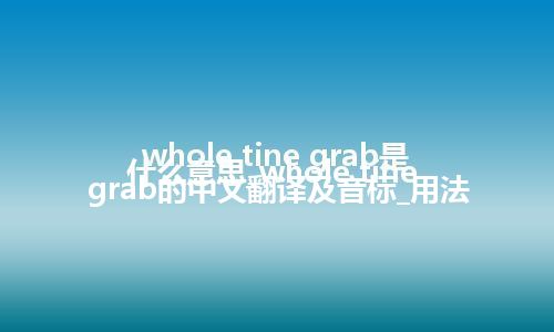 whole tine grab是什么意思_whole tine grab的中文翻译及音标_用法