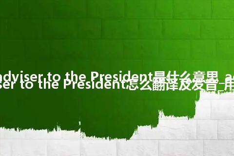 adviser to the President是什么意思_adviser to the President怎么翻译及发音_用法