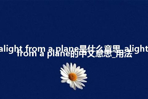 alight from a plane是什么意思_alight from a plane的中文意思_用法