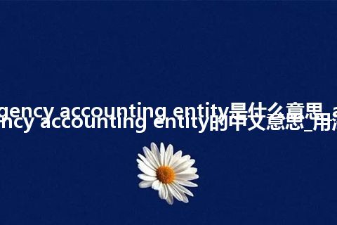 agency accounting entity是什么意思_agency accounting entity的中文意思_用法