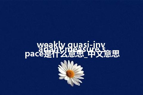 weakly quasi-invariant measure space是什么意思_中文意思