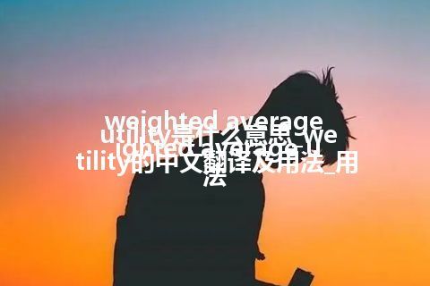 weighted average utility是什么意思_weighted average utility的中文翻译及用法_用法