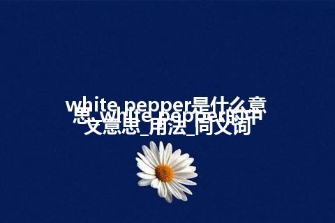 white pepper是什么意思_white pepper的中文意思_用法_同义词