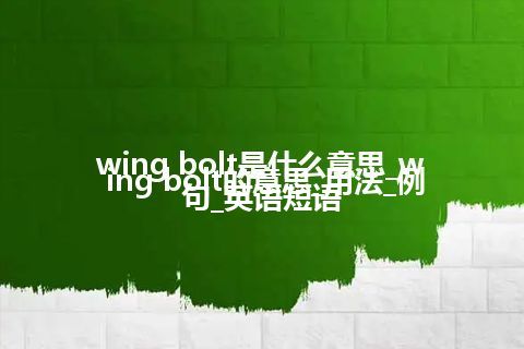 wing bolt是什么意思_wing bolt的意思_用法_例句_英语短语