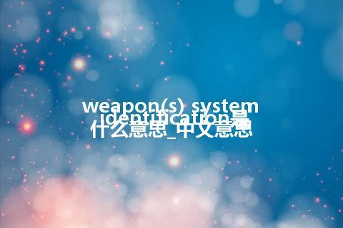 weapon(s) system identification是什么意思_中文意思