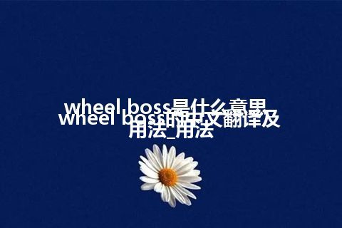 wheel boss是什么意思_wheel boss的中文翻译及用法_用法