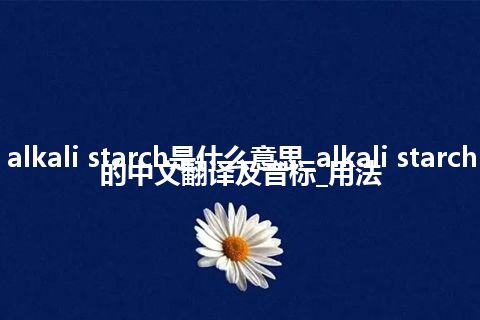 alkali starch是什么意思_alkali starch的中文翻译及音标_用法