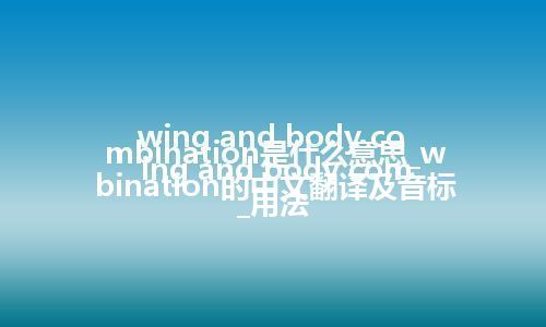 wing and body combination是什么意思_wing and body combination的中文翻译及音标_用法