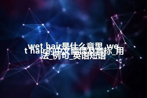 wet hair是什么意思_wet hair的中文翻译及音标_用法_例句_英语短语
