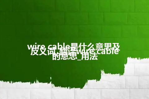 wire cable是什么意思及反义词_翻译wire cable的意思_用法