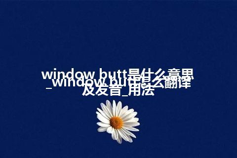 window butt是什么意思_window butt怎么翻译及发音_用法