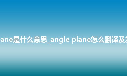 angle plane是什么意思_angle plane怎么翻译及发音_用法