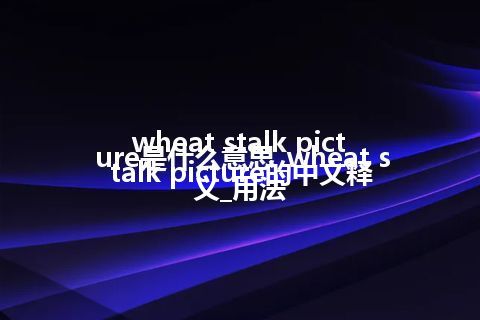 wheat stalk picture是什么意思_wheat stalk picture的中文释义_用法